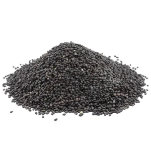 Seeds