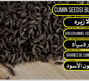Black Cumin - کالا زیرہ