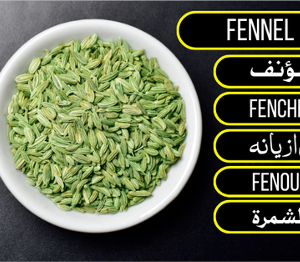 Fennel Seeds - سونف