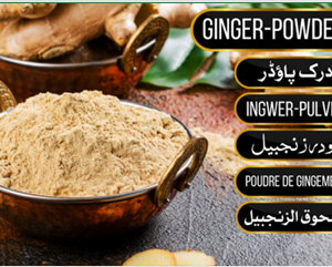 Ginger Powder - ادرک پاؤڈر