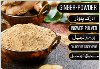 Ginger Powder - ادرک پاؤڈر