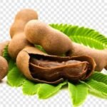 Tamarind Whole - املی ثابت