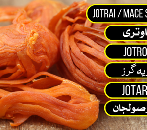 Jalwatri - جاوتری