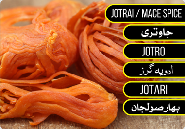 Mace - جاوتری