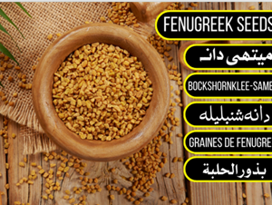 Fenugreek Seeds - میتھی دانہ