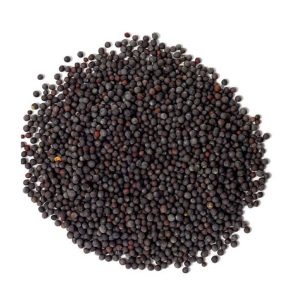 Mustard Seeds - رائی دانہ