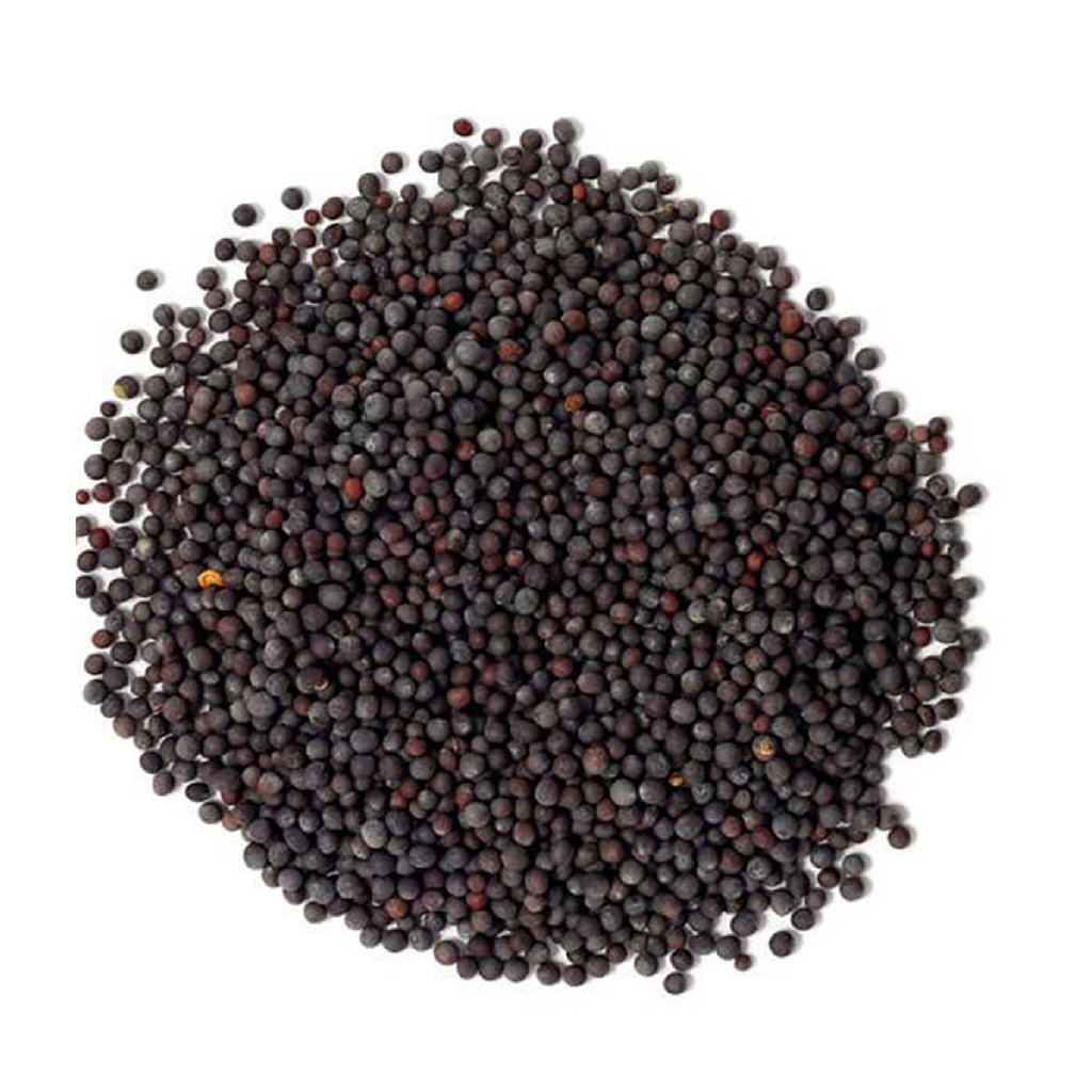 Mustard Seeds - رائی دانہ