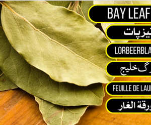 Teez Pata - (Aromatic Bay Leaves / تیز پات)