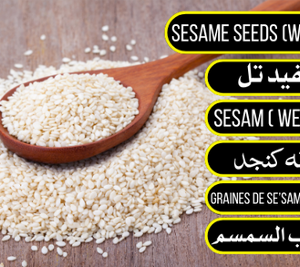 White Sesame Seeds - سفید تل
