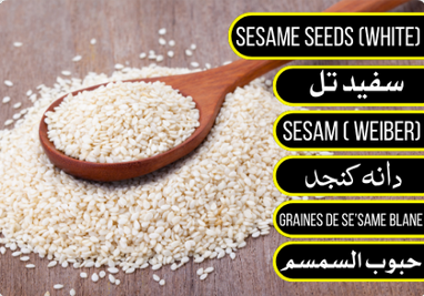 White Sesame Seeds - سفید تل